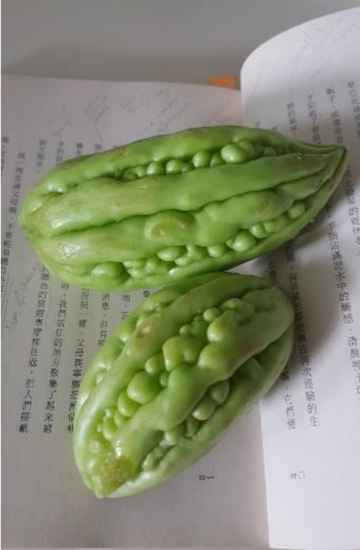 two green fruits on top of an open book